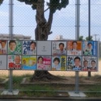 参議院選挙2025兵庫県