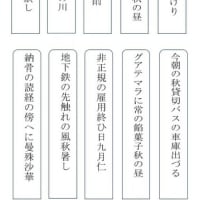 立冬と初雪のたより