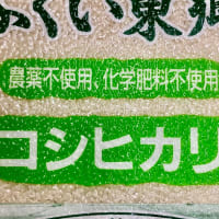 農薬や化学肥料を使わず育てた、福井県の白米、入荷致しました。