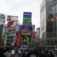 渋谷スクランブル交差点( ４月７日) 【東京渋谷区】あるある東京ぶらり