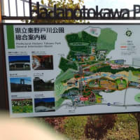 県立秦野戸川公園