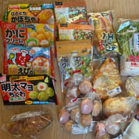 買い物記録✍️