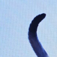  2025 5/26 投稿　 １７話　 私の名ははミー子　漢字で書くと美子　 