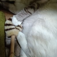 トートバッグ