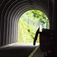 ６月のランドナー