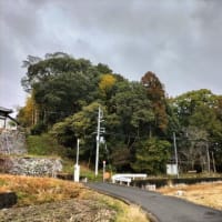 新・葛城の国の古墳めぐり②　～芝塚1号墳・芝塚2号墳（再訪）～