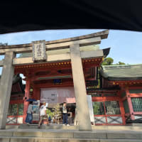 日傘使ってます╰(*´︶`*)╯♡