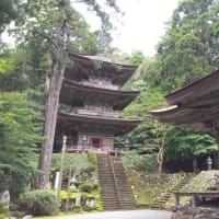 241（福井）小浜　葛まんじゅう