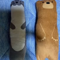母親に握らせているカワウソみたいなのが可愛いい❤️