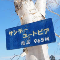 奥手稲山（949m）～樿山（935m）[単229]