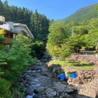 自然の中でブログ更新