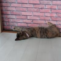 午前３時のつぶやき