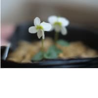 今日いち-2025年4月20日