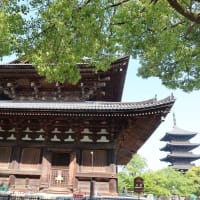 【京都幕間旅情】東寺,こうした日常の記録の膨大蓄積が最終的に玉石混交の一助となるのだろうか