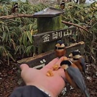 冬期休暇のご案内