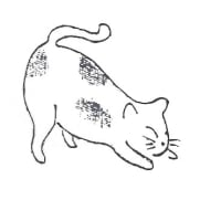 ネコイラスト