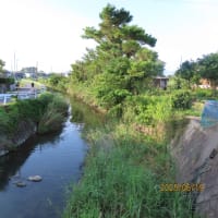 朝の散歩（2025/6/19）・・・姶良市加治木町木田西部方面