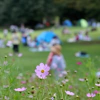 9月28日、相模原公園にて