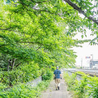 灘浜から新在家運河