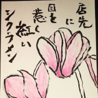 飼い葉桶に寝ておられるみどりごとヘルパー料理