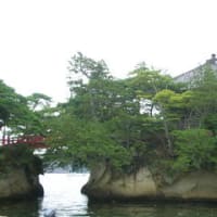 Bella Matsushima