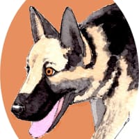 シェパード2