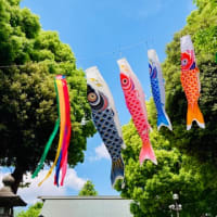 晴れた日の松陰神社