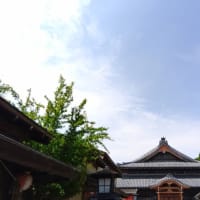本日ともいきの国 伊勢忍者キングダム上空に地震雲。
