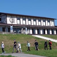 ノルディックウォーキング体験会　-申込み状況2