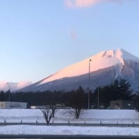 札幌から岩手への配送