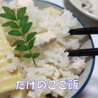 5月のタケノコならではの男のメンマ作り＆筍料理個人的７ランキング
