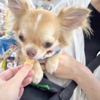ソーセージの試食会を開催しました！②