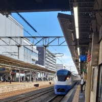 令和7年5月30日のブログです。