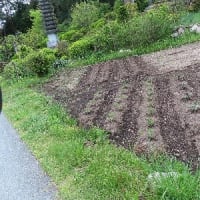 再び会える日のために（感謝）