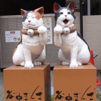 谷根千！富士見坂や猫が面白い！邪悪なハンコ屋も有るでよぉ～！