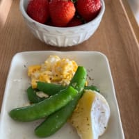 今シーズン終了～。