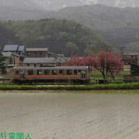 頸城大野　田植えの候