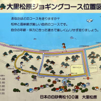 世界初の乗り物「DMV」と「阿波海南文化村」「大原松原」見物、四国周遊車中泊の旅 。