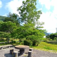 今日も暑くなりそう？