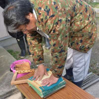 江戸前海苔づくり体験記①-木更津市