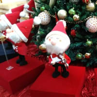 ココちゃんとクリスマス♪