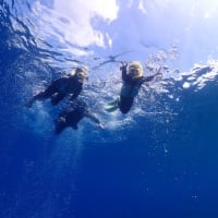 瀬底島でファンダイブとシュノーケリング