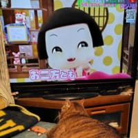 涼しいを通り越して寒い～(＠_＠;)
