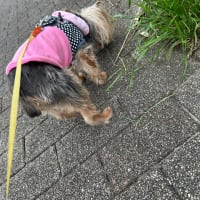あんまりないパターン
