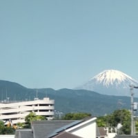 まだ神奈川なのに富士山