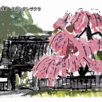 ハガキ絵　栃木市西方町　民家の桜