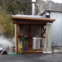 【第3793回】新たなチャレンジ