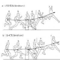 起こし回転論は間違いである。幅跳びと背面跳び踏切動作について 