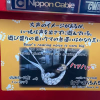 2022年7月北海道その1 のぼりべつ