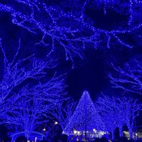 東京　青の洞窟 SHIBUYAとKITTEのクリスマスツリー